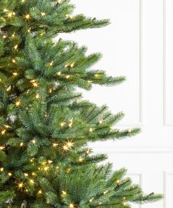 Biltmore® Spruce