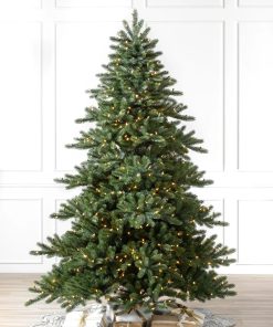 Biltmore® Spruce